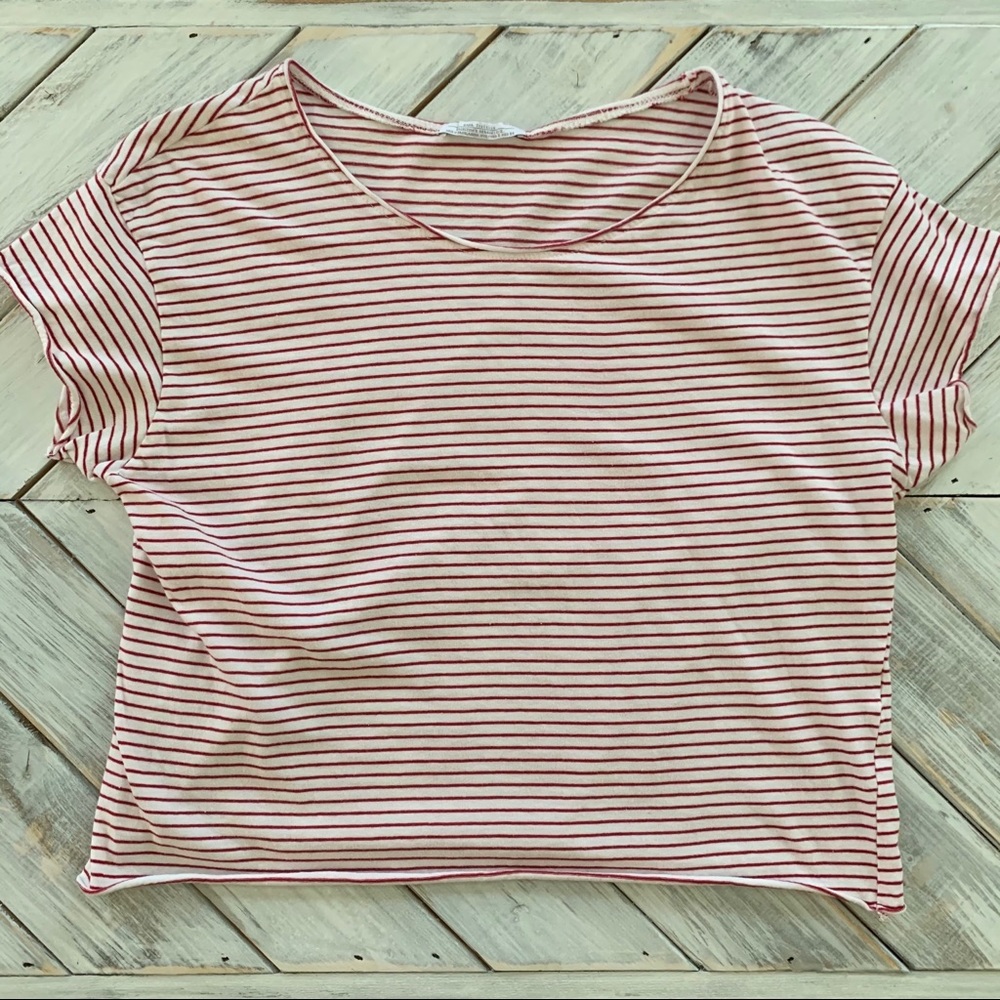 Zara crop top